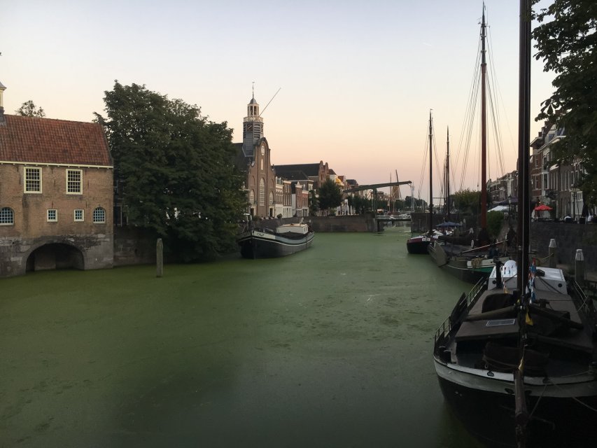 Met een aankoopmakelaar in Rotterdam Delfshaven, is de Voorhaven elke dag je uitzicht.