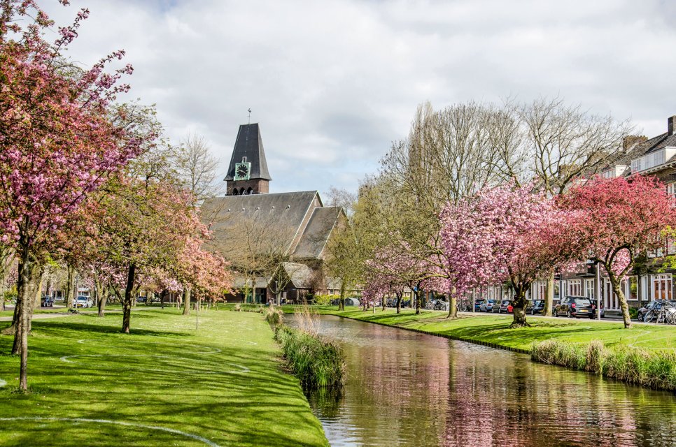 Succesvol je huis verkopen met de Beste Makelaar in Blijdorp Rotterdam